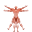 Dr. Muscle logo