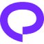 Praktika logo